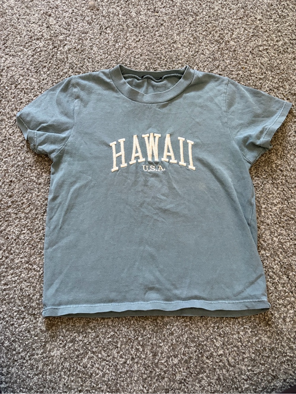 Brandy Melville Hawai’i graphic baby tshirt